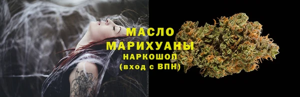 молекула духа Нягань