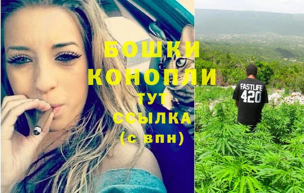 винт Белокуриха