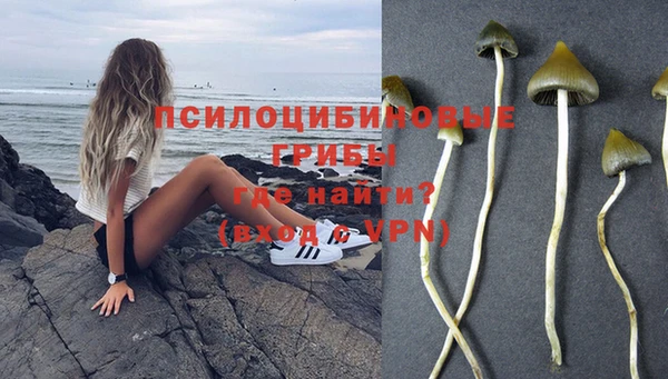 дурь Беломорск