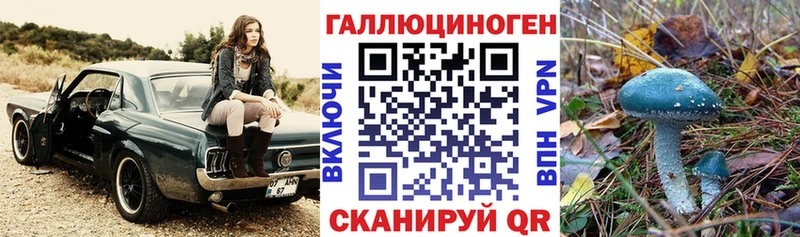Псилоцибиновые грибы Cubensis Янаул
